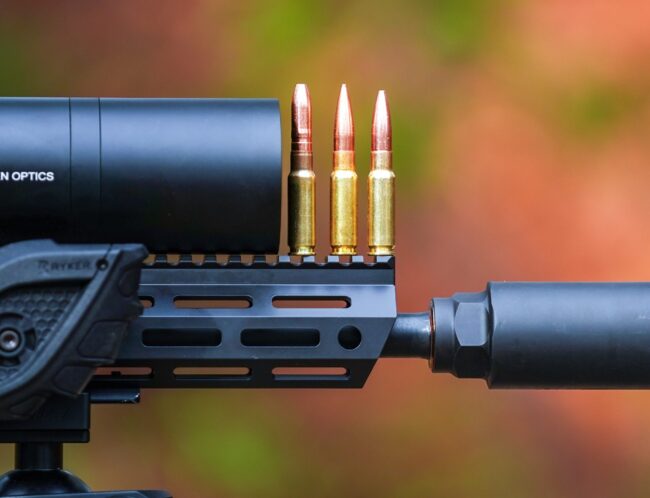 Photo Dec 19 2024, 1 20 16 PM (1)