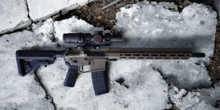 Photo Nov 24 2024, 11 50 44 AM