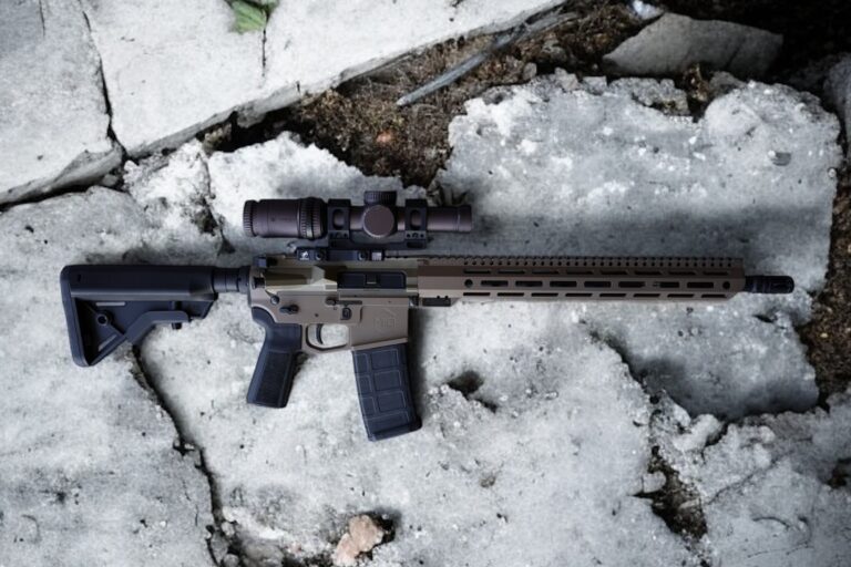 Photo Nov 24 2024, 11 50 44 AM